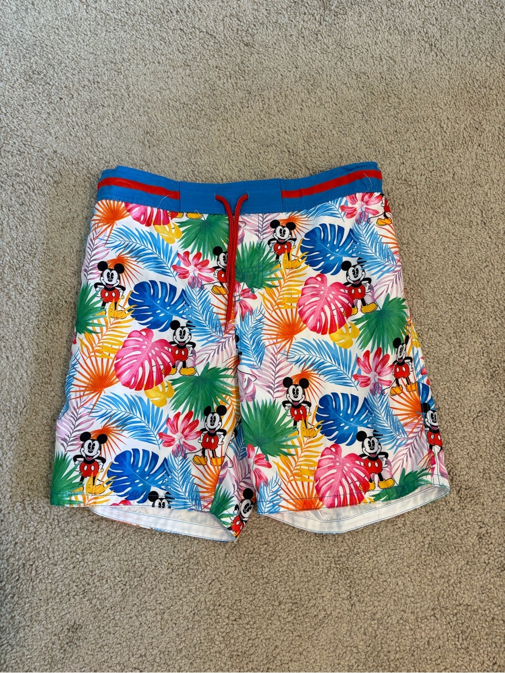 Disney Mickey Mouse Mens Swim Trunks Multicolor Size Medium Disney Vacation